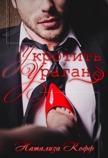 Обложка книги Укротить Ураган
