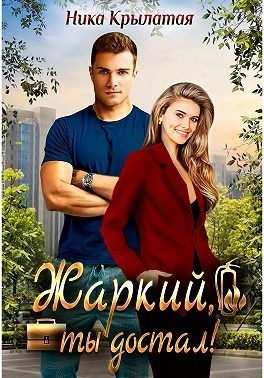 Обложка книги Жаркий, ты достал!